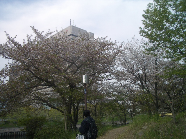 a0075358_3414473.jpg