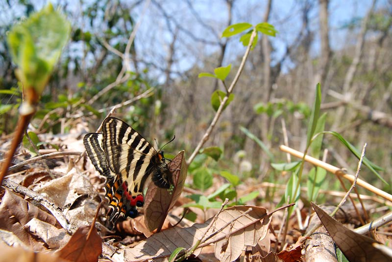 c0043361_092884.jpg