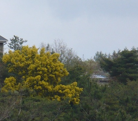 a0063364_23402683.jpg
