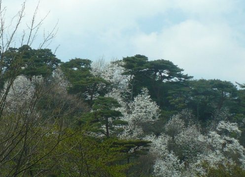 a0063364_23541531.jpg