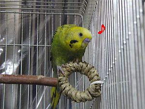 f0196665_002270.jpg