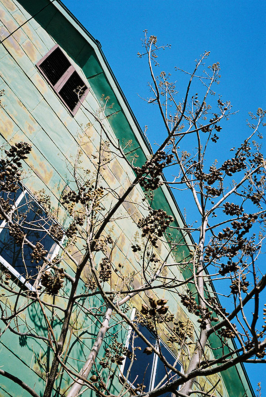c0084666_0533.jpg