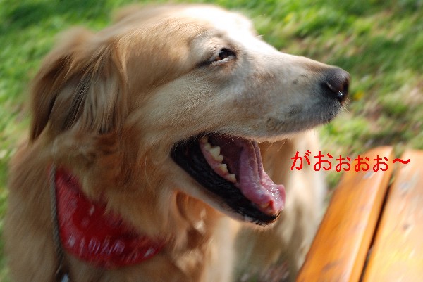 e0020166_20181650.jpg