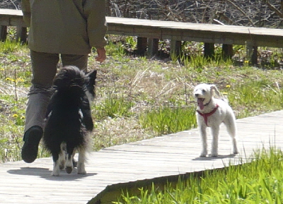 f0203369_20192989.jpg