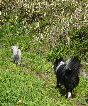 f0203369_20194721.jpg