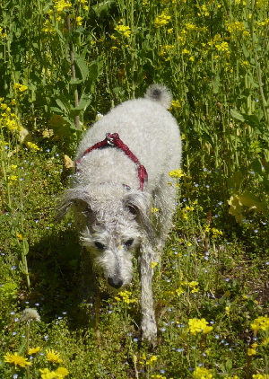 f0203369_2020068.jpg