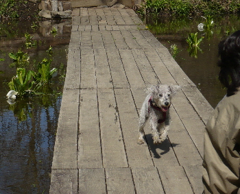 f0203369_20201265.jpg