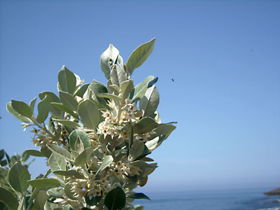 e0097770_011415.jpg