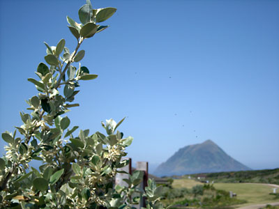 e0097770_013076.jpg