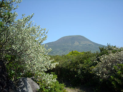 e0097770_014471.jpg