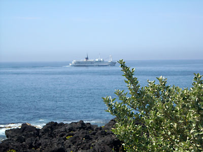 e0097770_022456.jpg