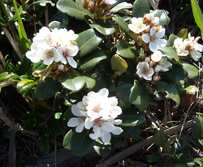 e0097770_02960.jpg