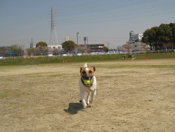 f0100871_18241761.jpg