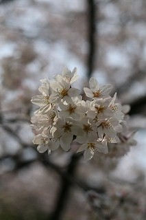 f0101871_7201734.jpg