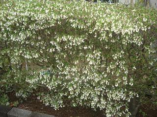 f0050473_17354742.jpg