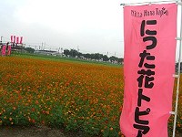 b0004675_11563022.jpg
