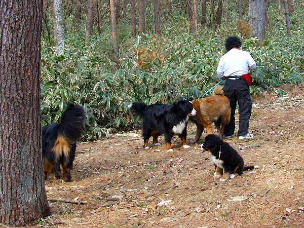 c0149178_822232.jpg