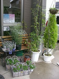 e0149683_0363736.jpg