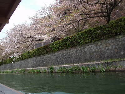 c0105785_21593838.jpg