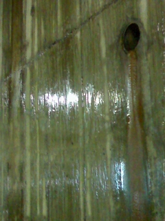 e0148989_0484480.jpg
