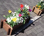 e0017290_14103792.jpg