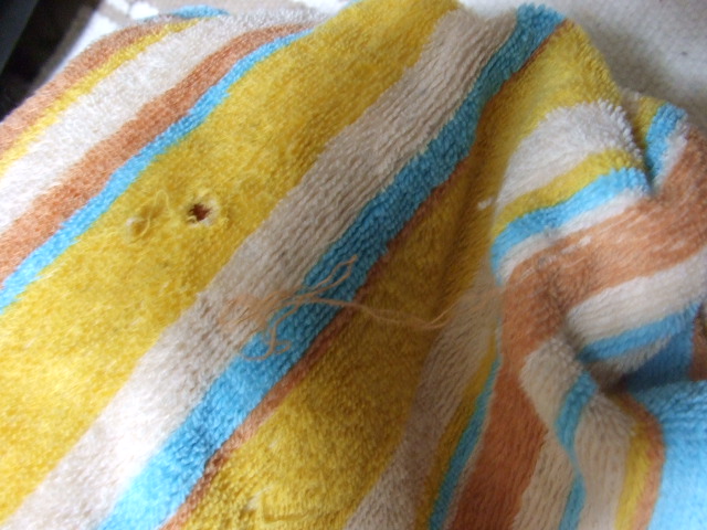 f0189791_10263749.jpg