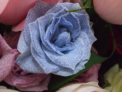 b0104592_2126899.jpg