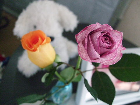 b0104592_21274899.jpg