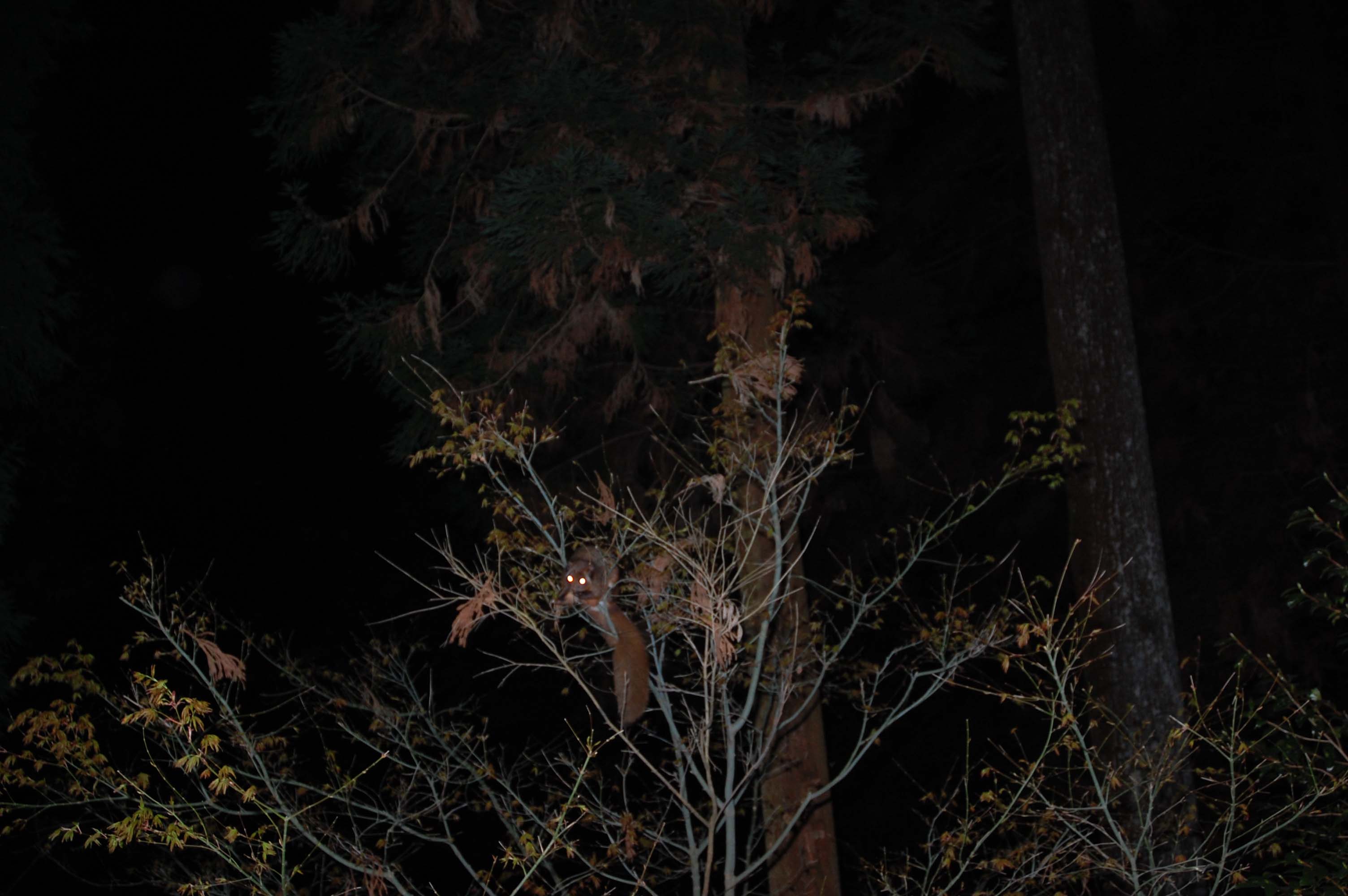 f0047593_1483117.jpg
