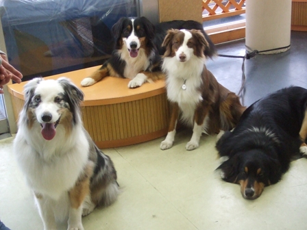 f0077697_1835296.jpg