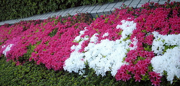 c0138198_22215359.jpg