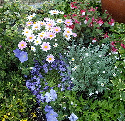 c0138198_22234992.jpg
