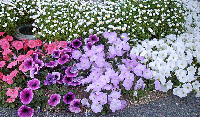 c0138198_22235986.jpg