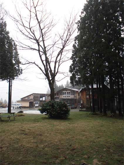 a0061599_7562794.jpg