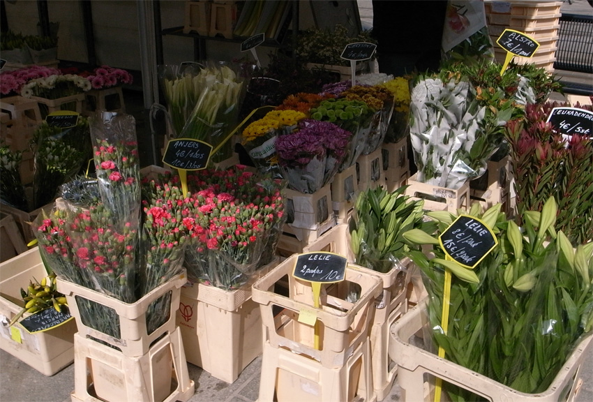 f0108399_142917.jpg