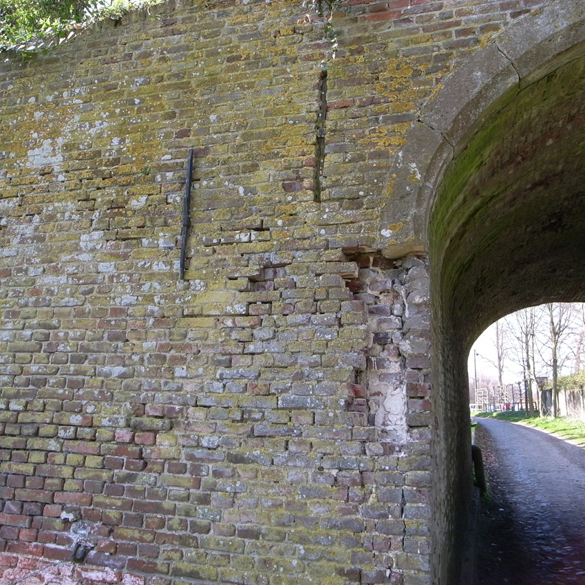f0108399_1534970.jpg
