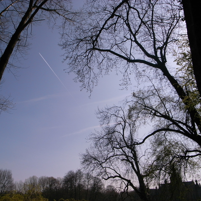 f0108399_20252.jpg