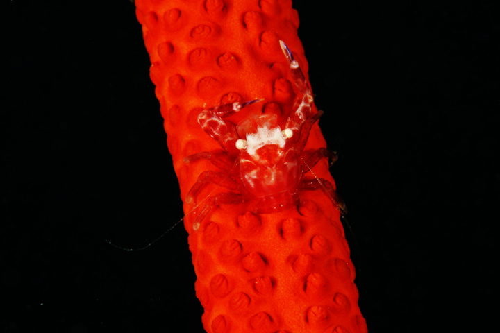 b0110406_2414688.jpg