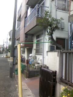 c0032006_0144819.jpg