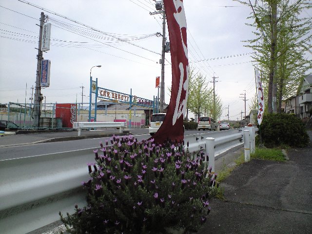 d0000607_1945160.jpg