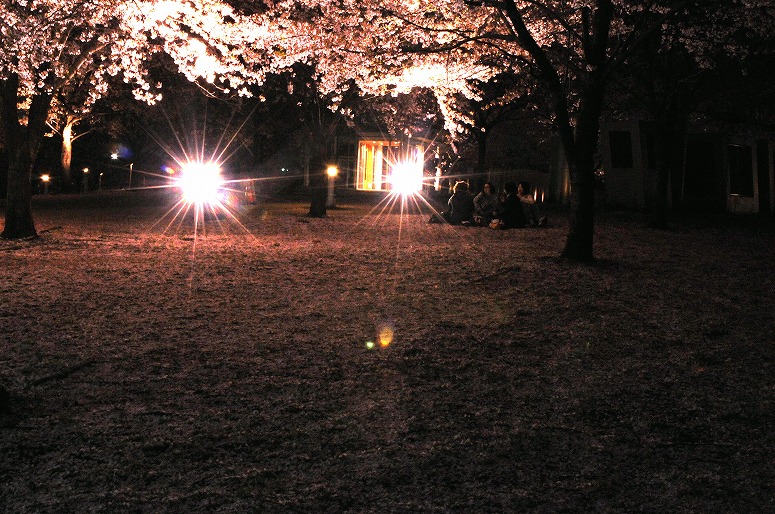 b0128609_23402324.jpg