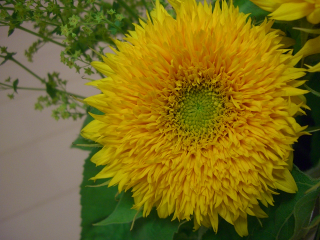 b0143709_23523430.jpg