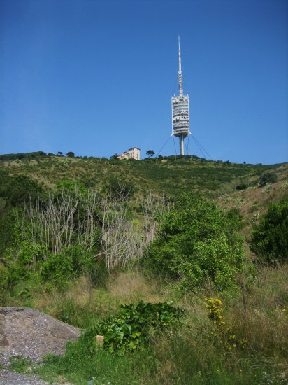 b0064411_16554056.jpg