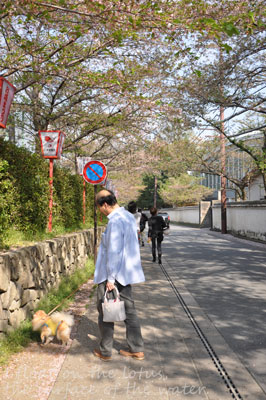 b0075318_18144055.jpg