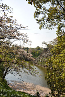b0075318_18232470.jpg