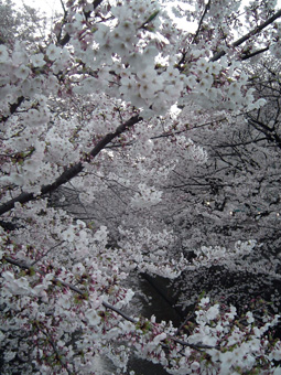 c0135618_1343380.jpg