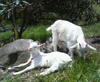 f0036223_2035294.jpg