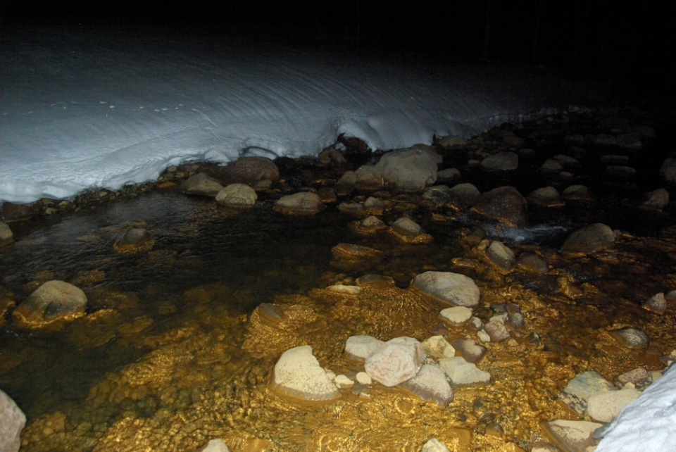 b0062024_2125728.jpg