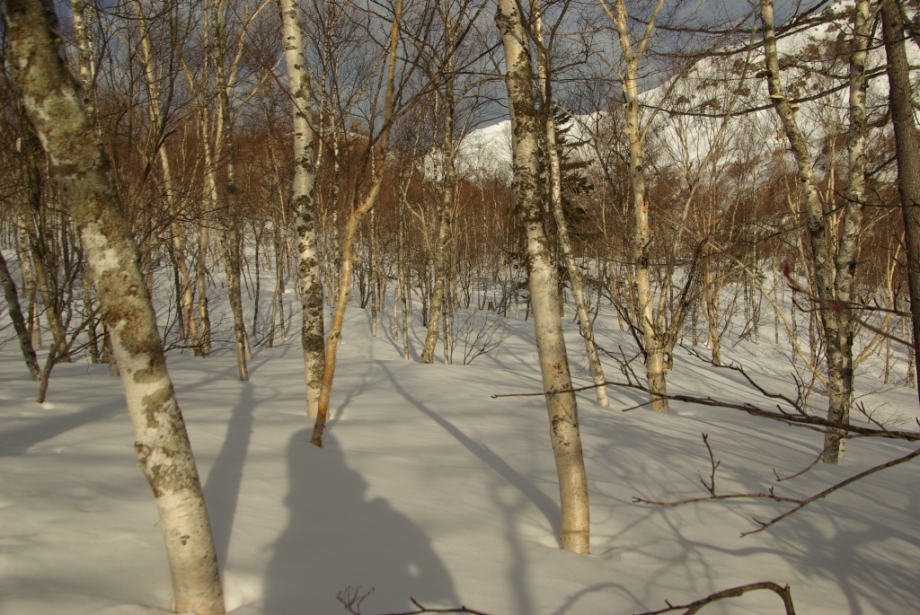 b0062024_2141272.jpg