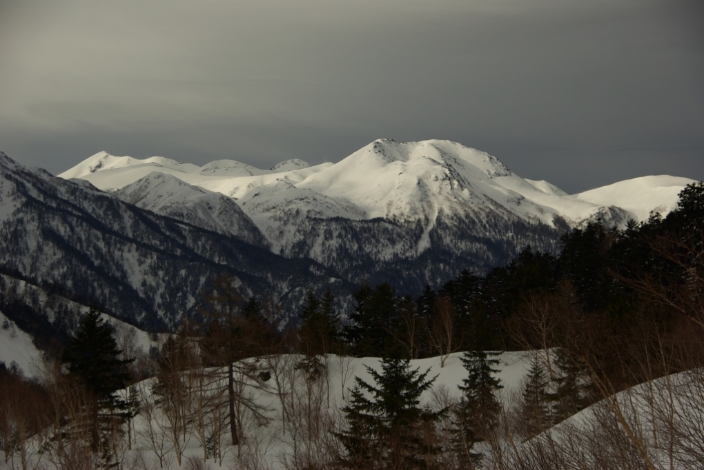 b0062024_21455174.jpg